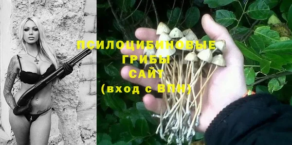 бутират Костерёво