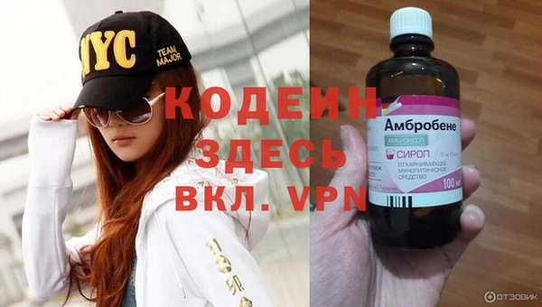 амф Коряжма