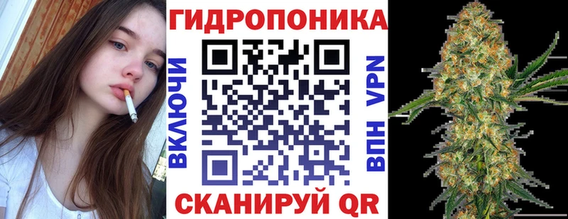 Канабис OG Kush Тверь